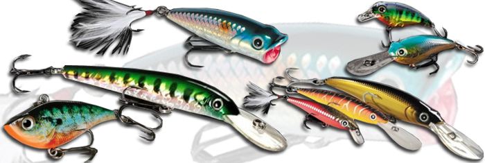 anzuelos pesca