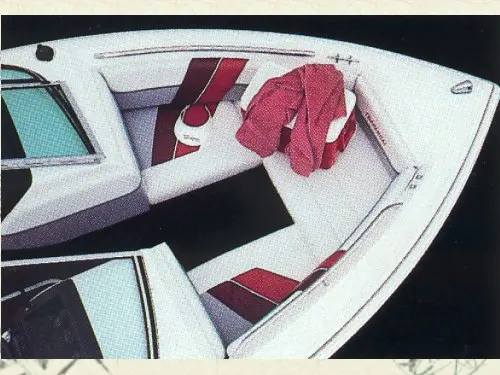 Chaparral 1900 SL — 2/5