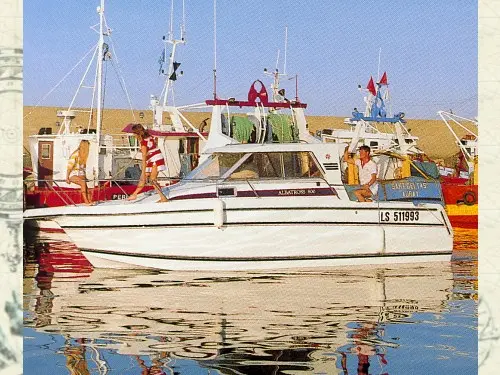 Albatros 800 — 2/15