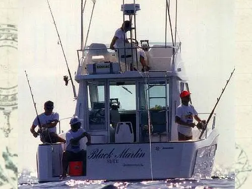 Merry Fisher 900 — 4/11
