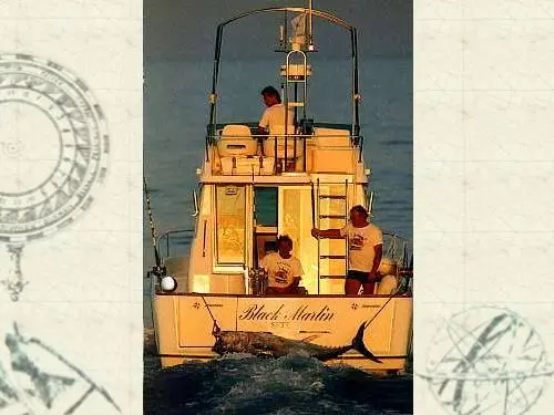 Merry Fisher 900 — 5/11