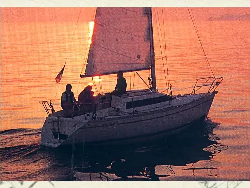Sun Dream 28 — 7/16