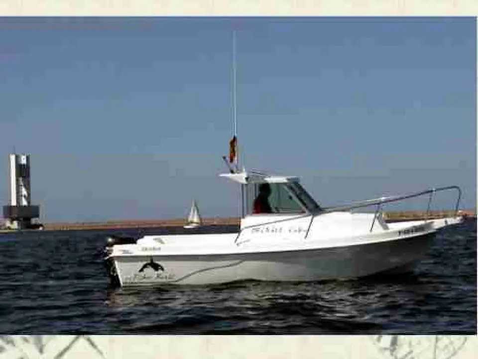 Orca 625