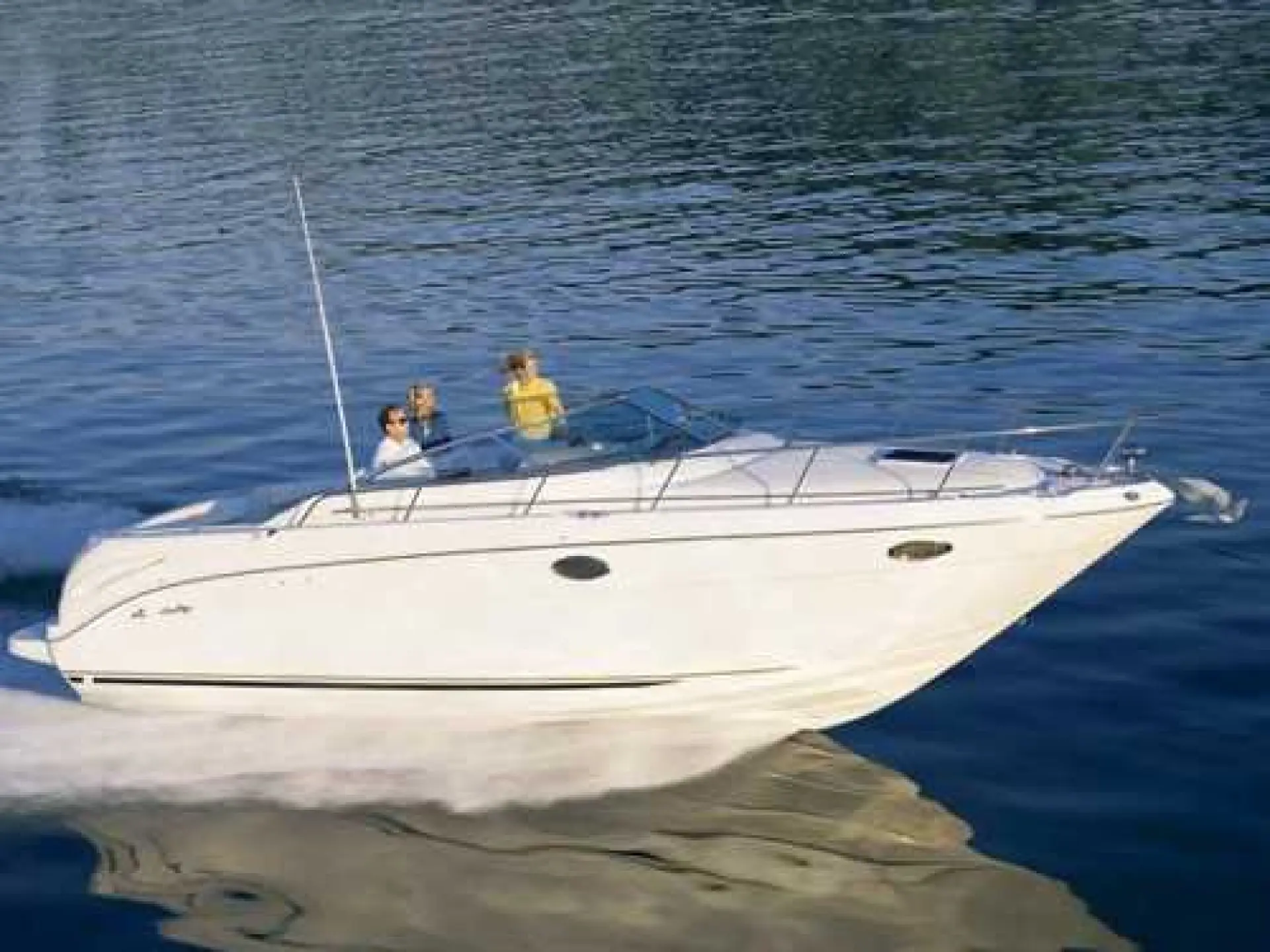 Amberjack 315 — 1/7