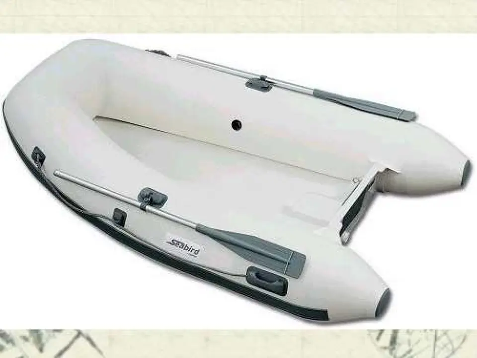 Seabird Pl 250 Rib