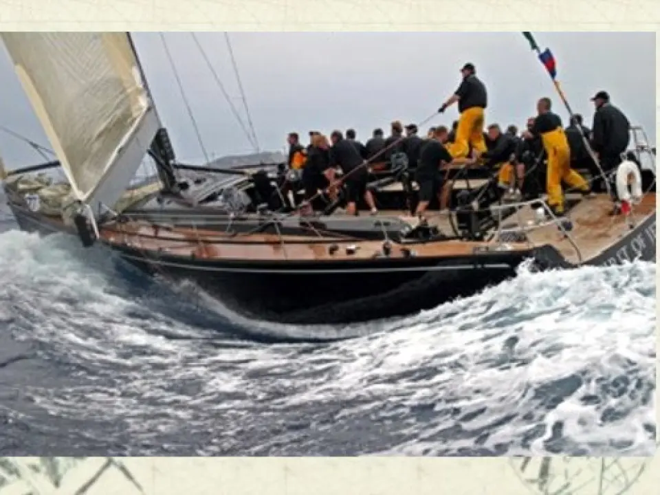 Swan 601