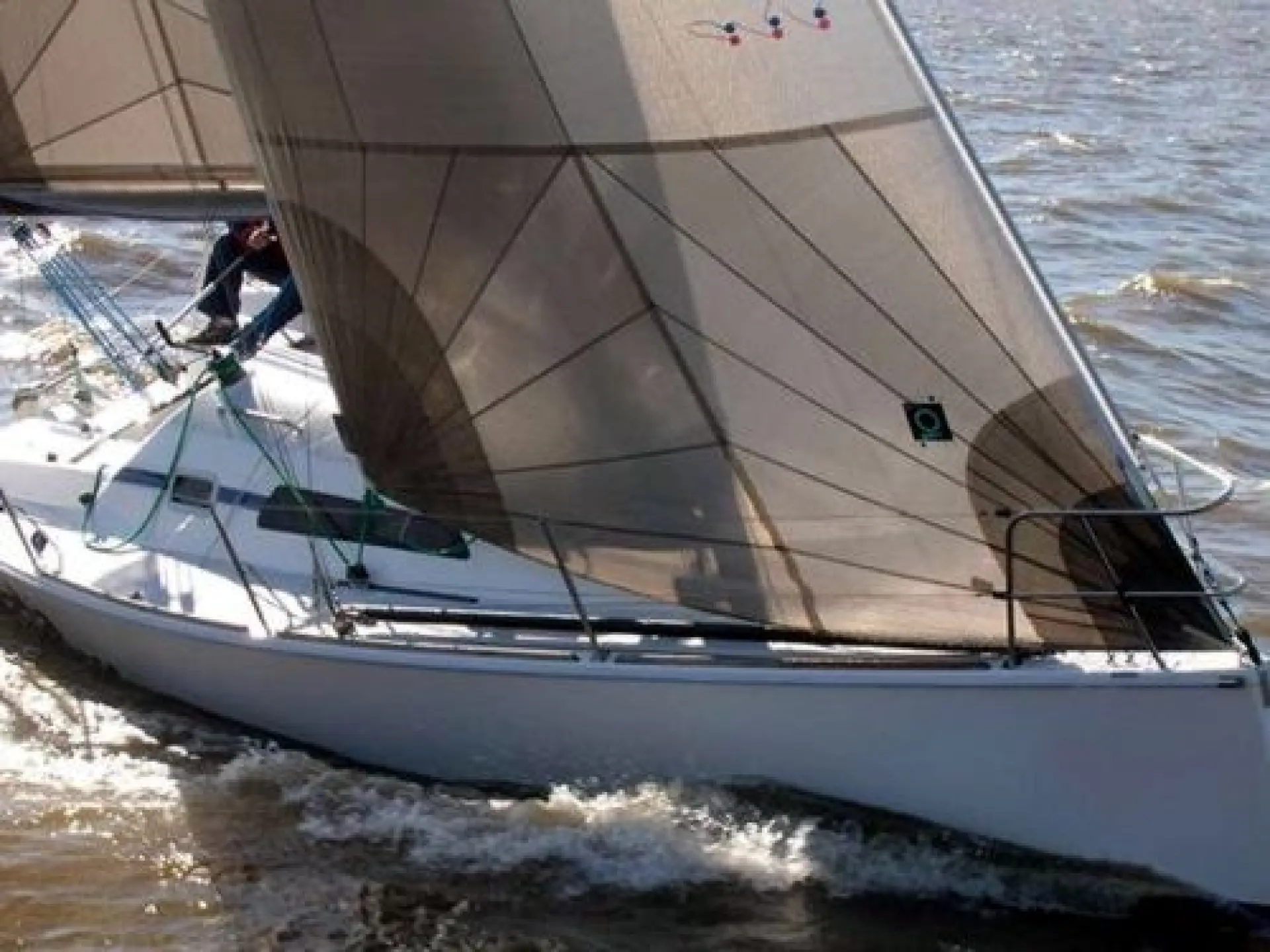 Malbec 290 — 10/35