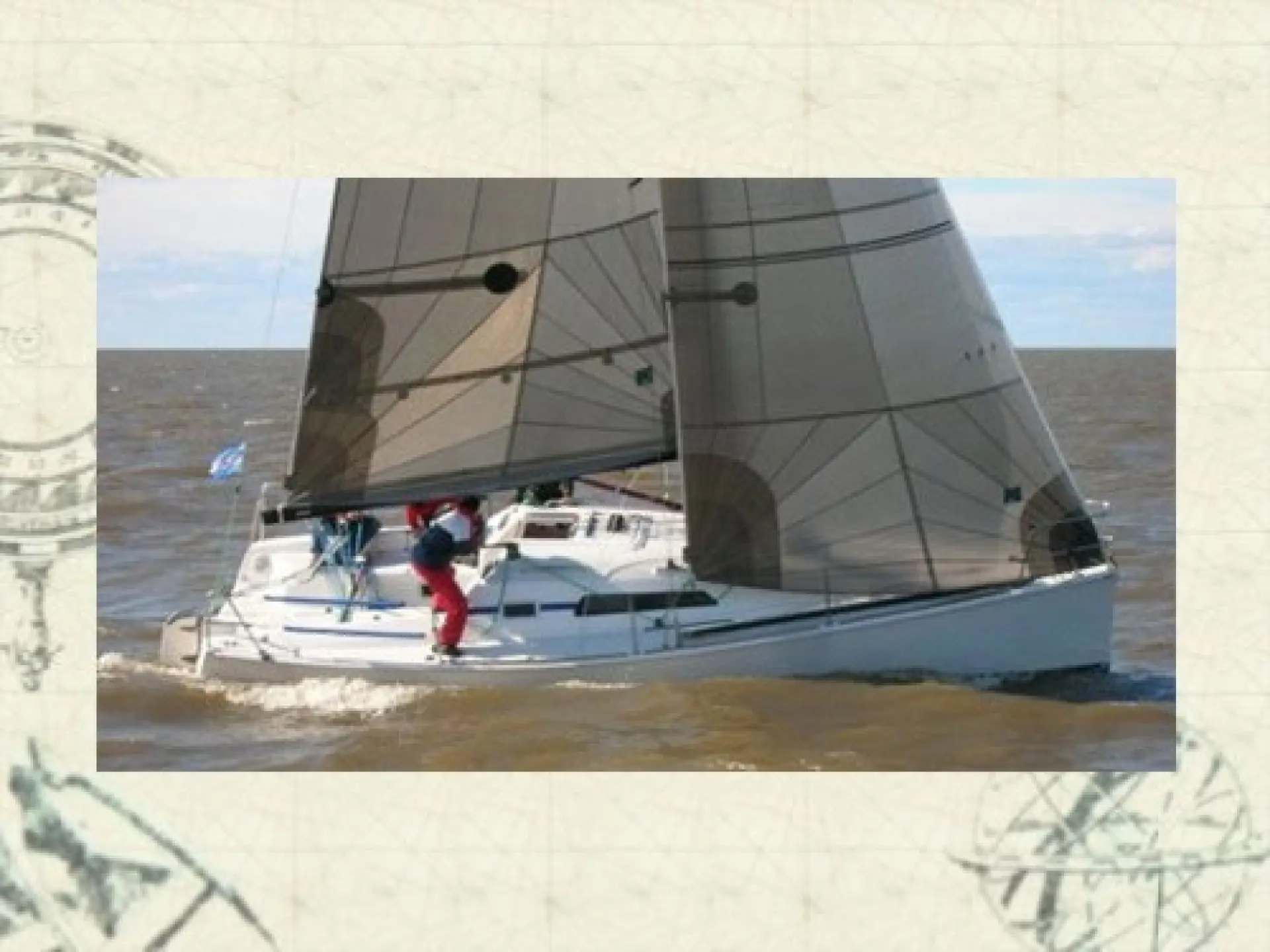 Malbec 290 — 14/35