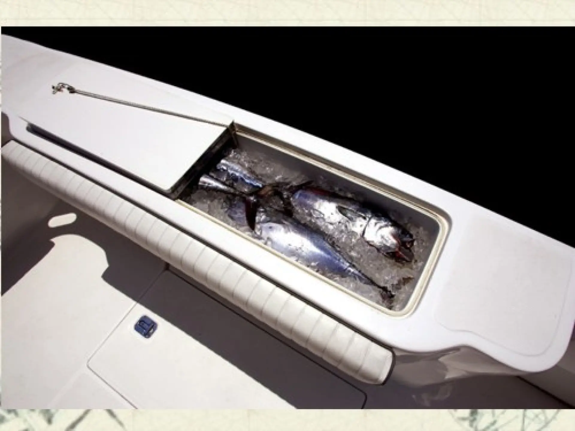 Luhrs 36 Convertible — 5/12