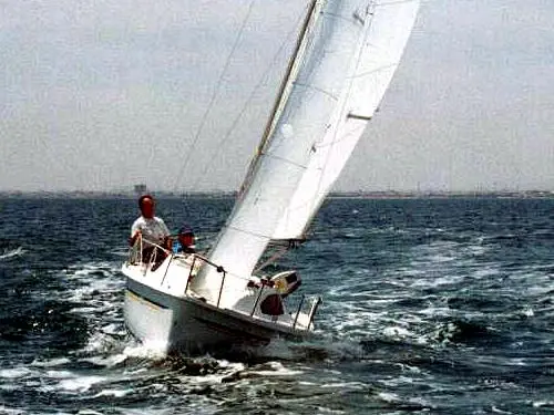 Serviola 17 — 13/15