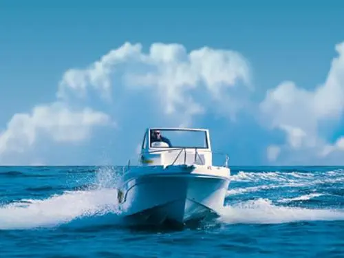 Willow 640 Sport — 5/5