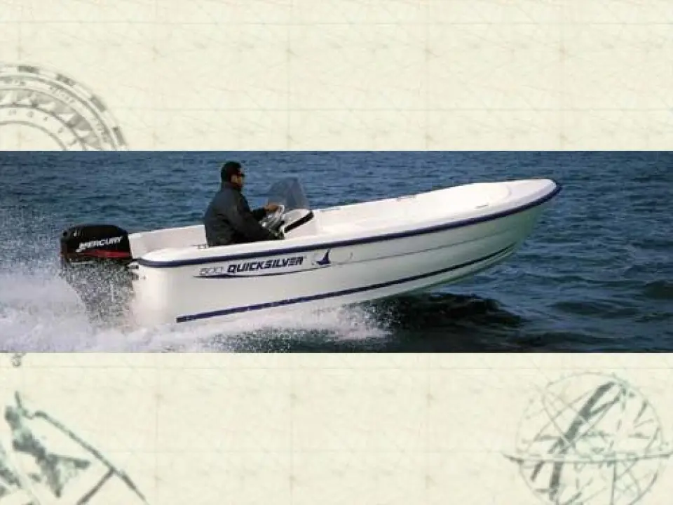 Quicksilver 410 Fish