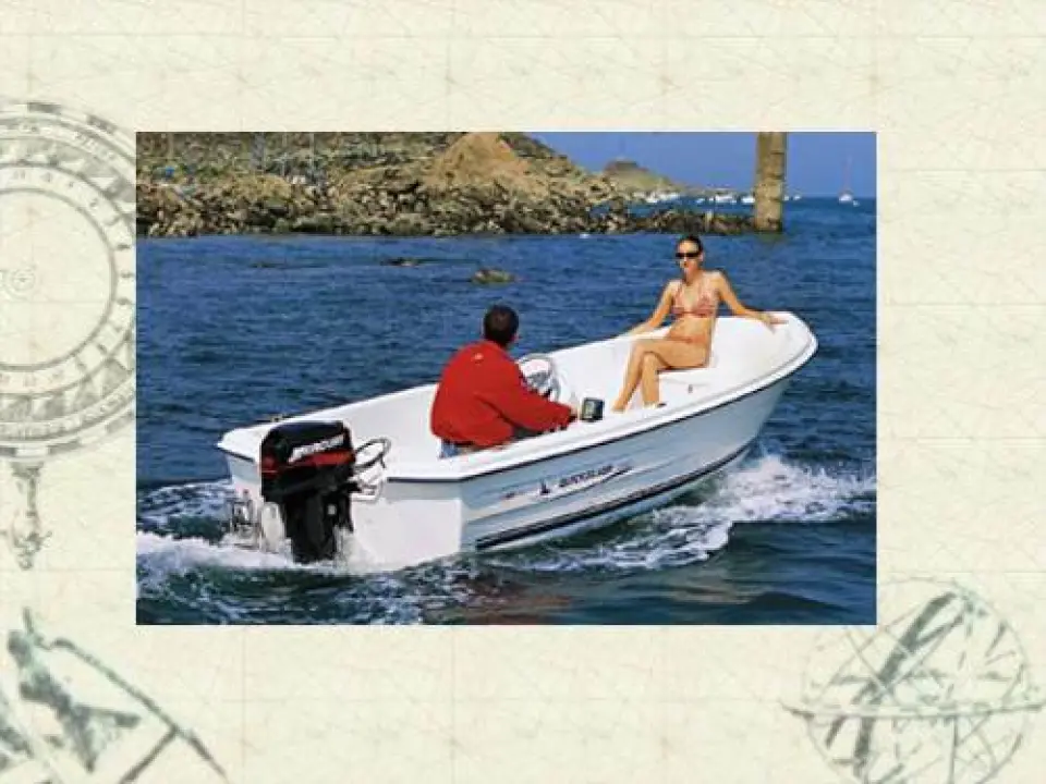 Quicksilver 440 Fish