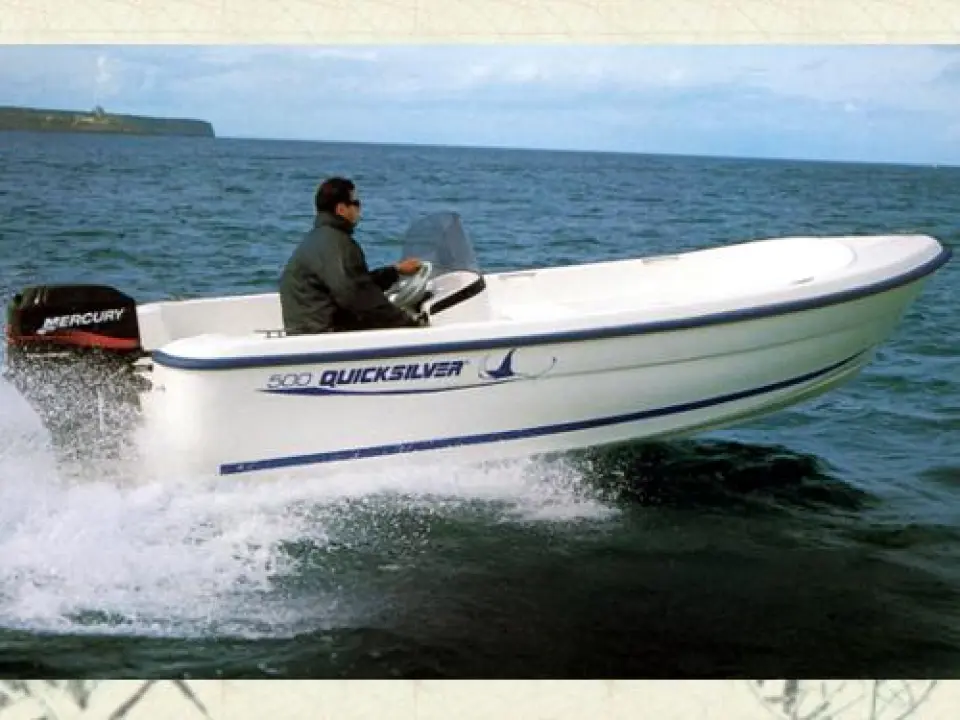 Quicksilver 500 Fish
