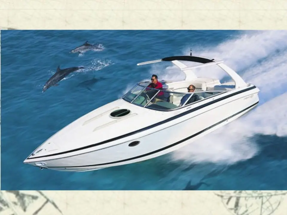Cobalt 263 CC