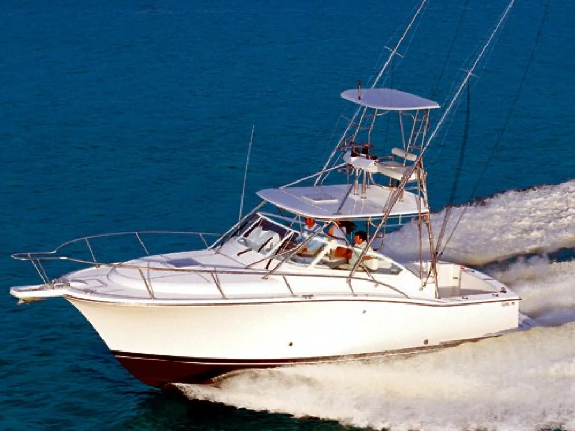 Luhrs 31 Open — 1/11