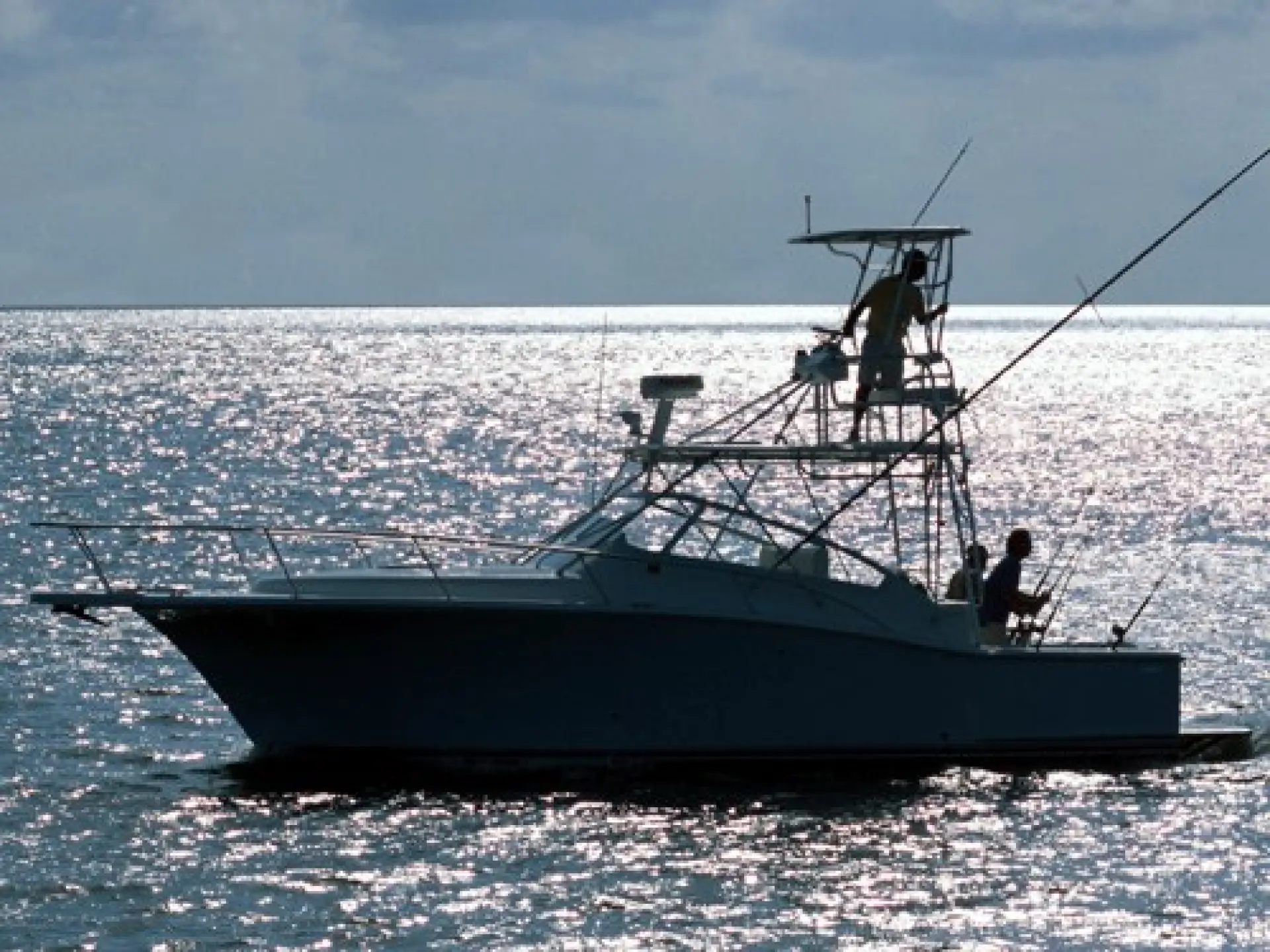 Luhrs 31 Open — 2/11
