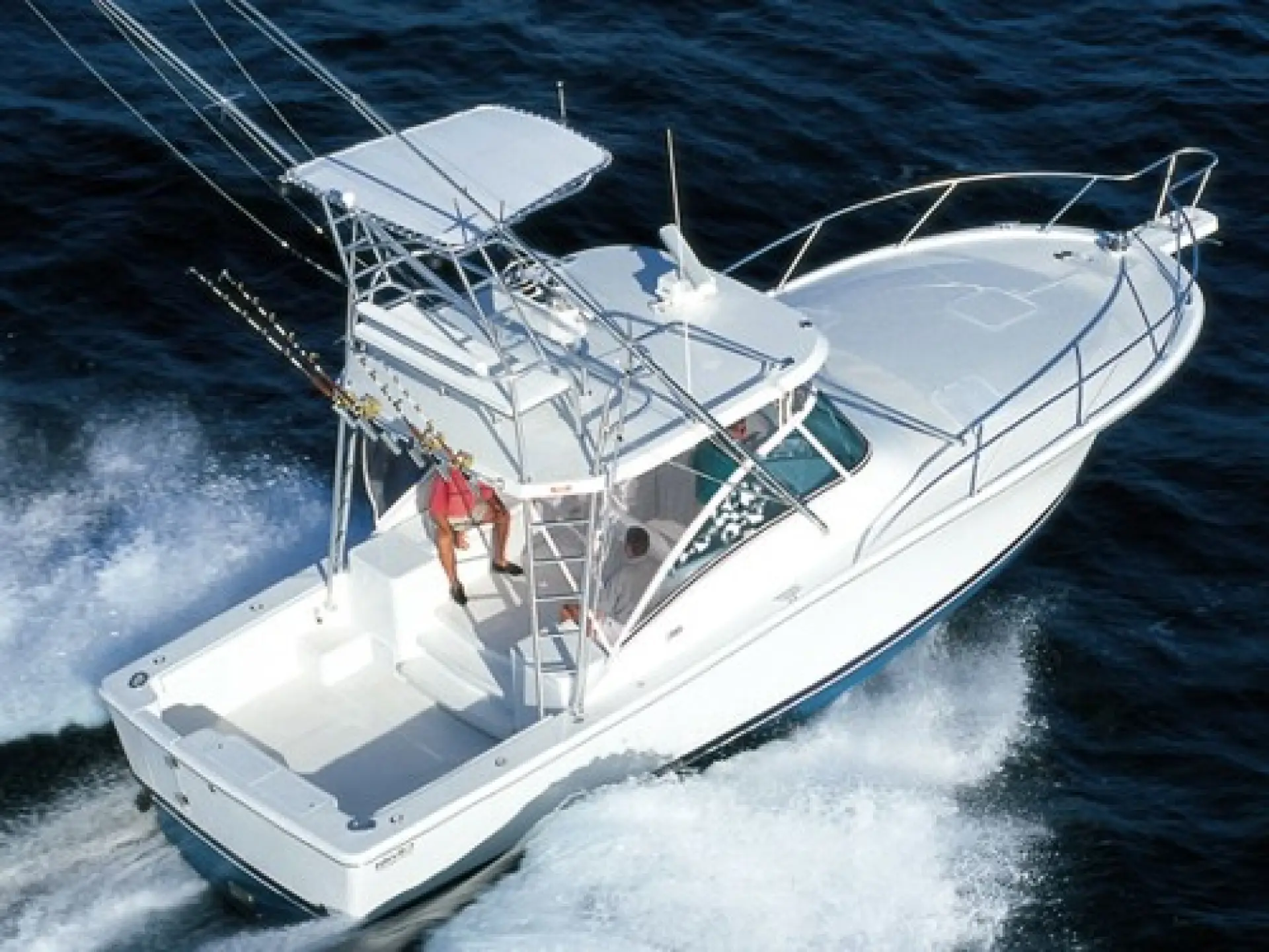 Luhrs 36 Open — 1/12