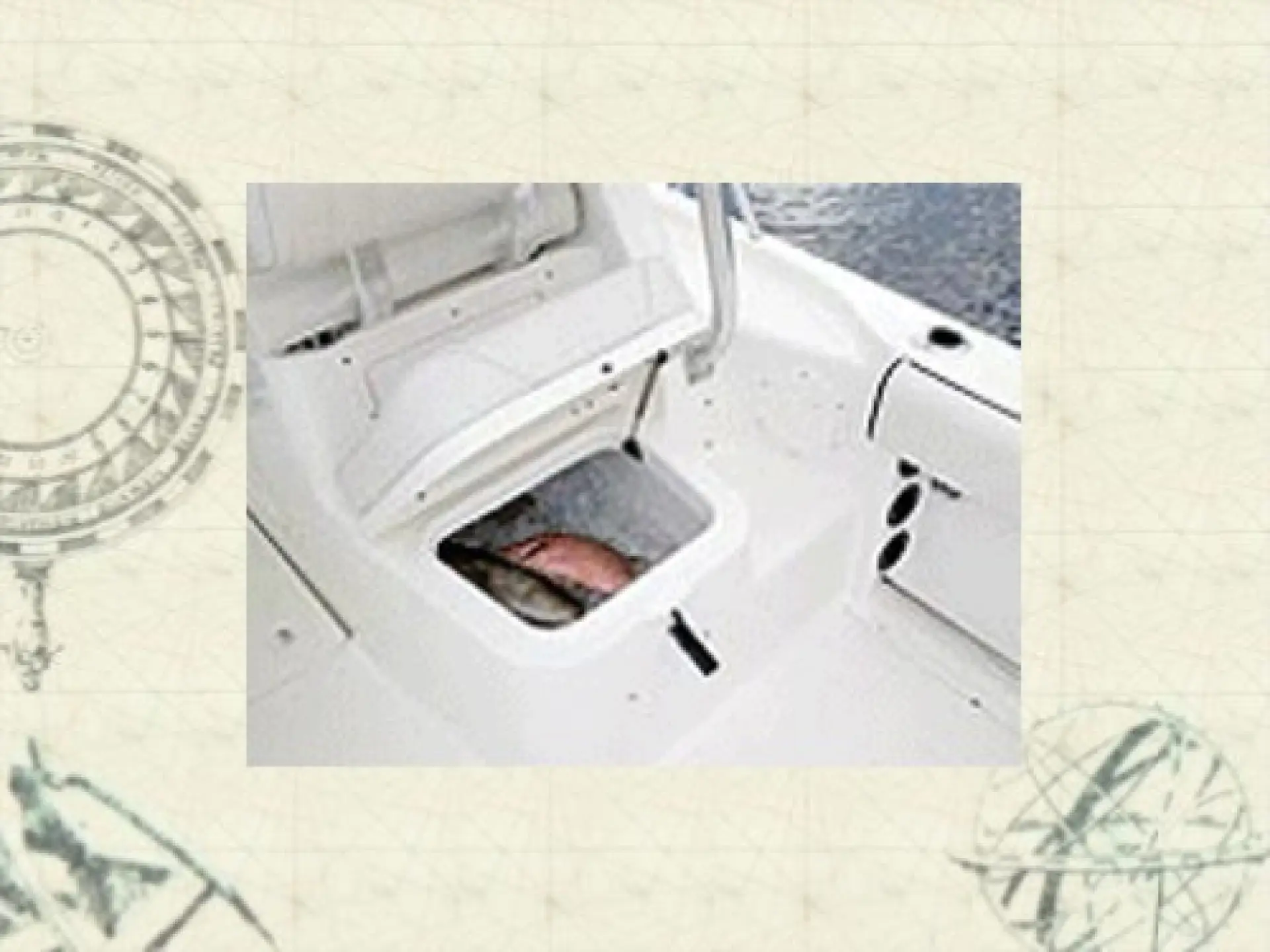 Robalo R 265 Walkaround — 5/10