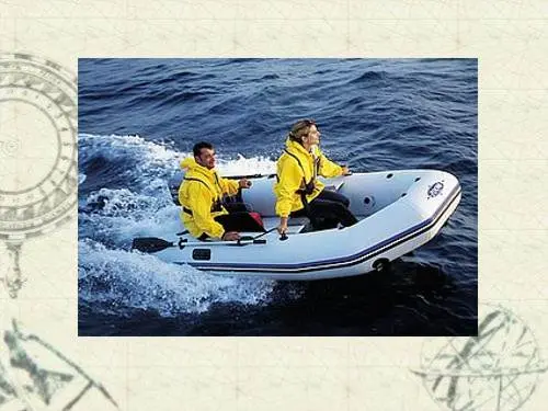 Zoom 310 SR