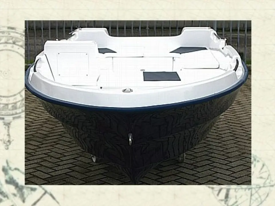 Dolphin 455