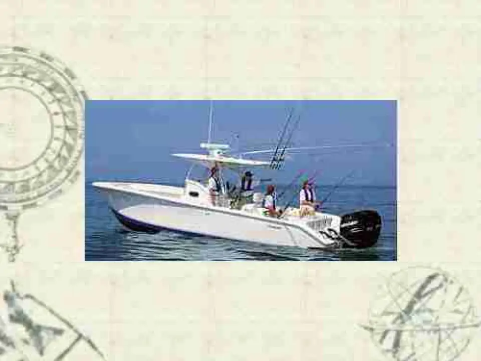 Palmetto 33