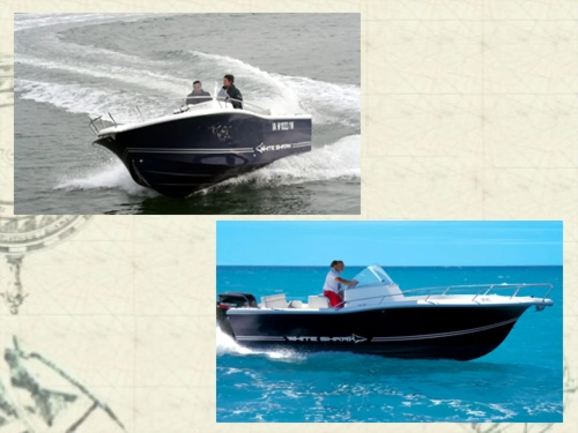 White Shark 245 Open — 2/3