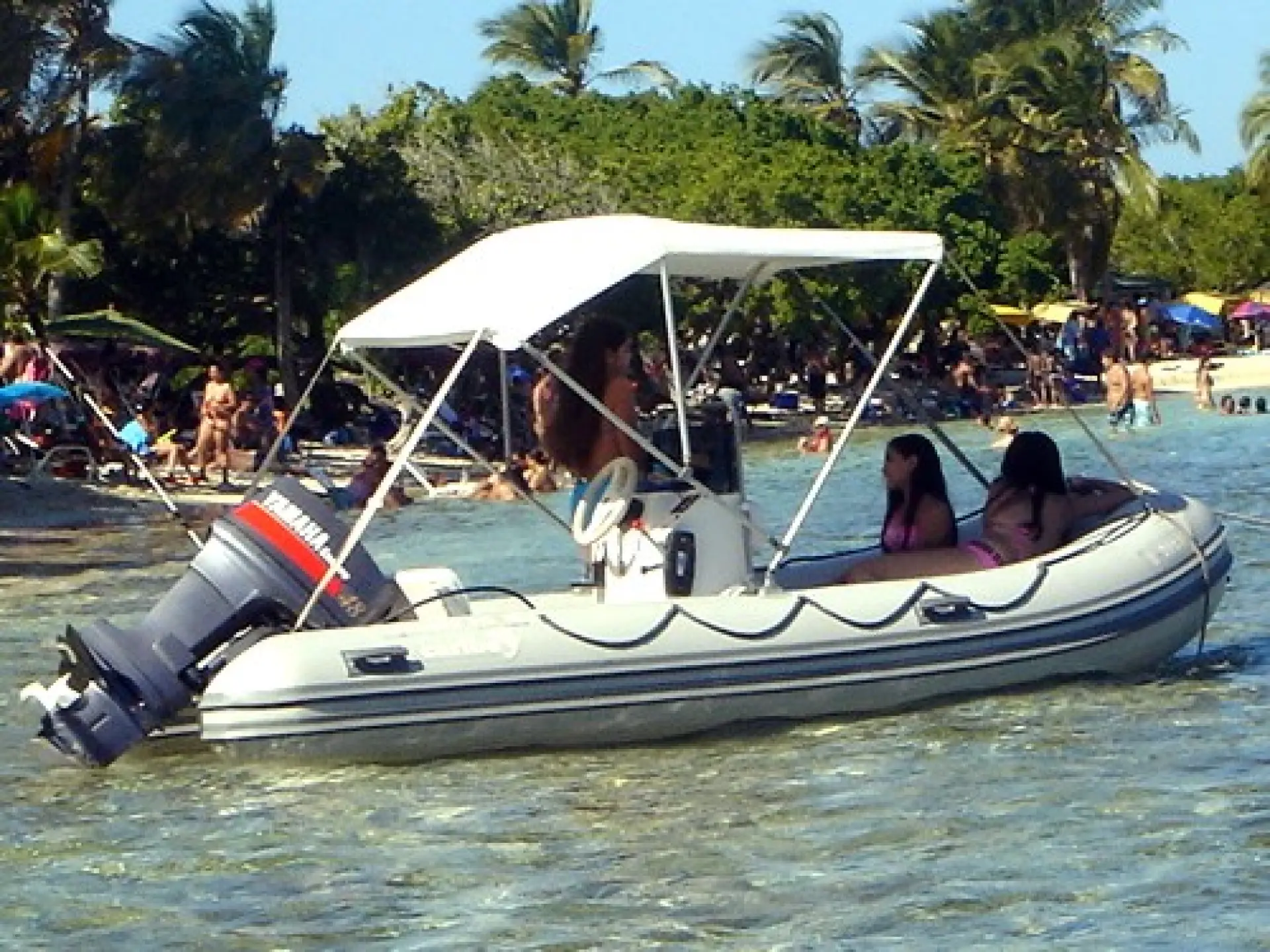Caribe DL11 — 1/4