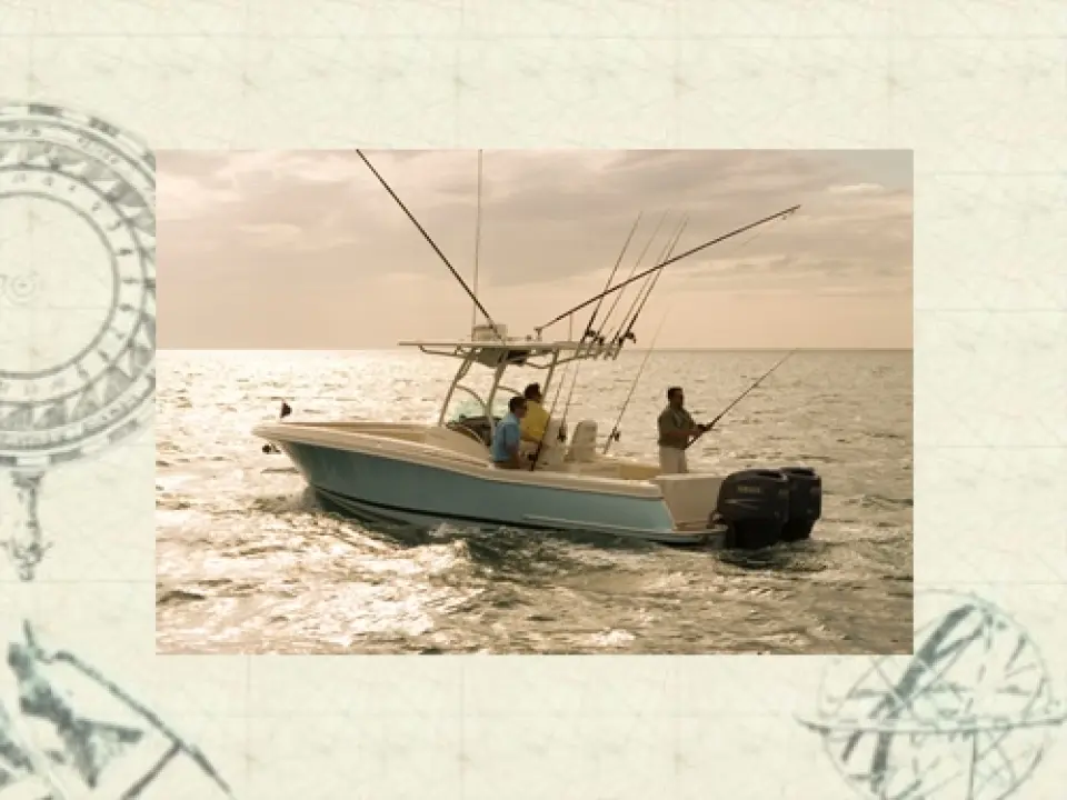Catalina 29 · 2008