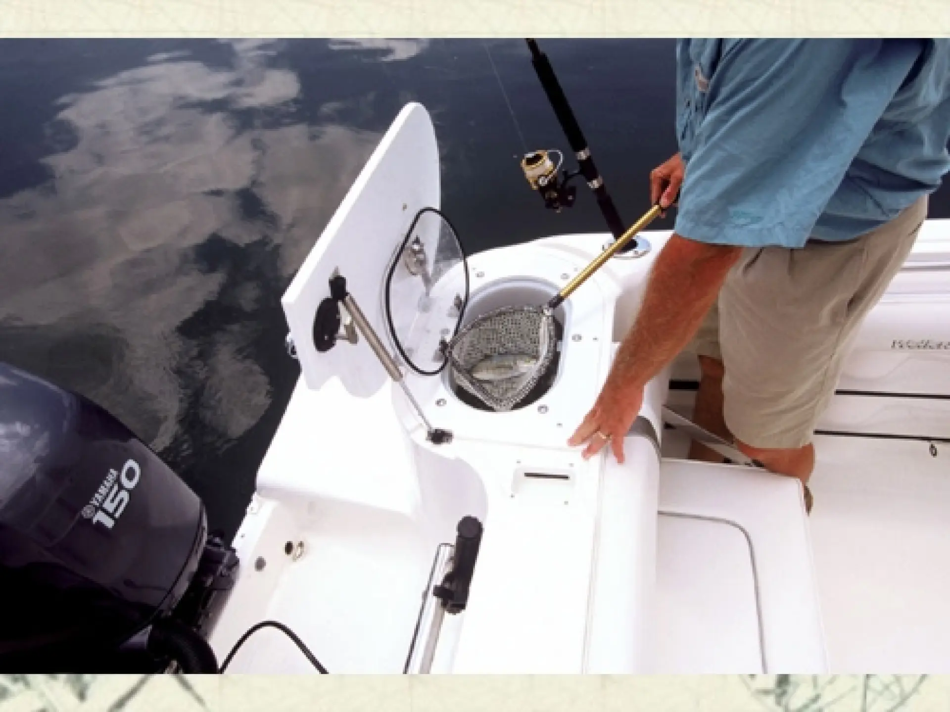Fisherman 252 — 11/13