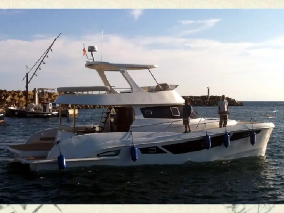 Flash Cat 47 · 2013