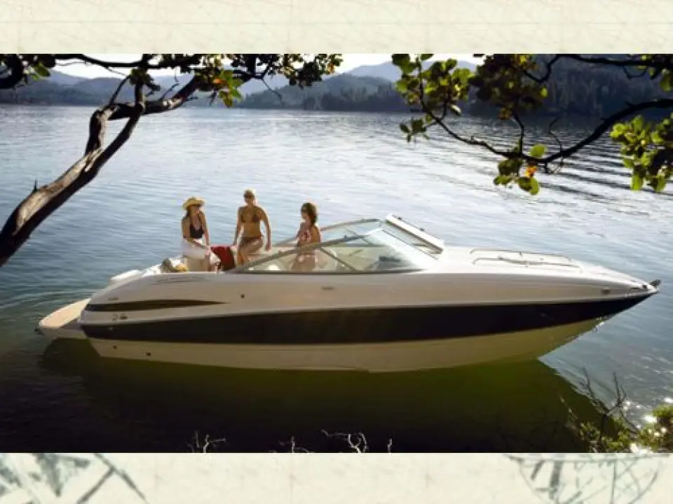 Bayliner 802 Cuddies · 2010