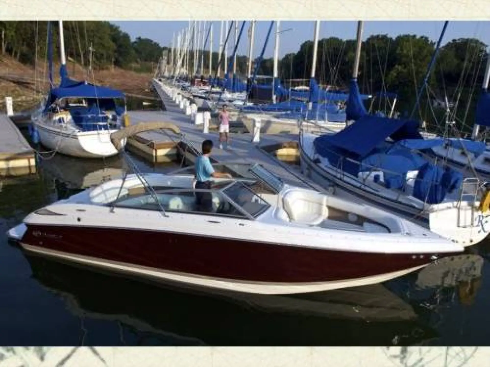 Cobalt 262 BR — 5/8