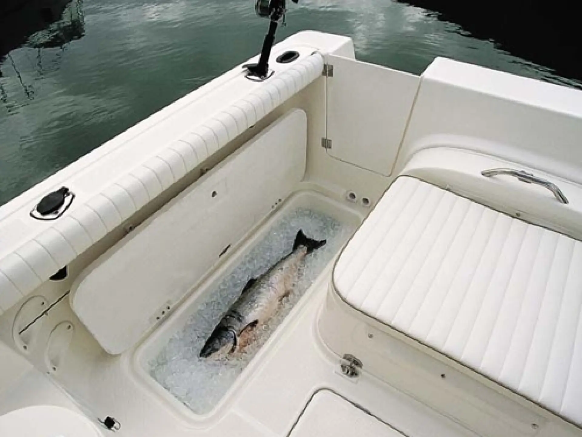 Trophy 2359 Hardtop — 4/5