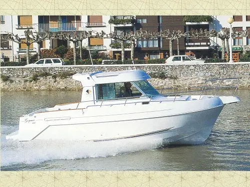Goymar 860
