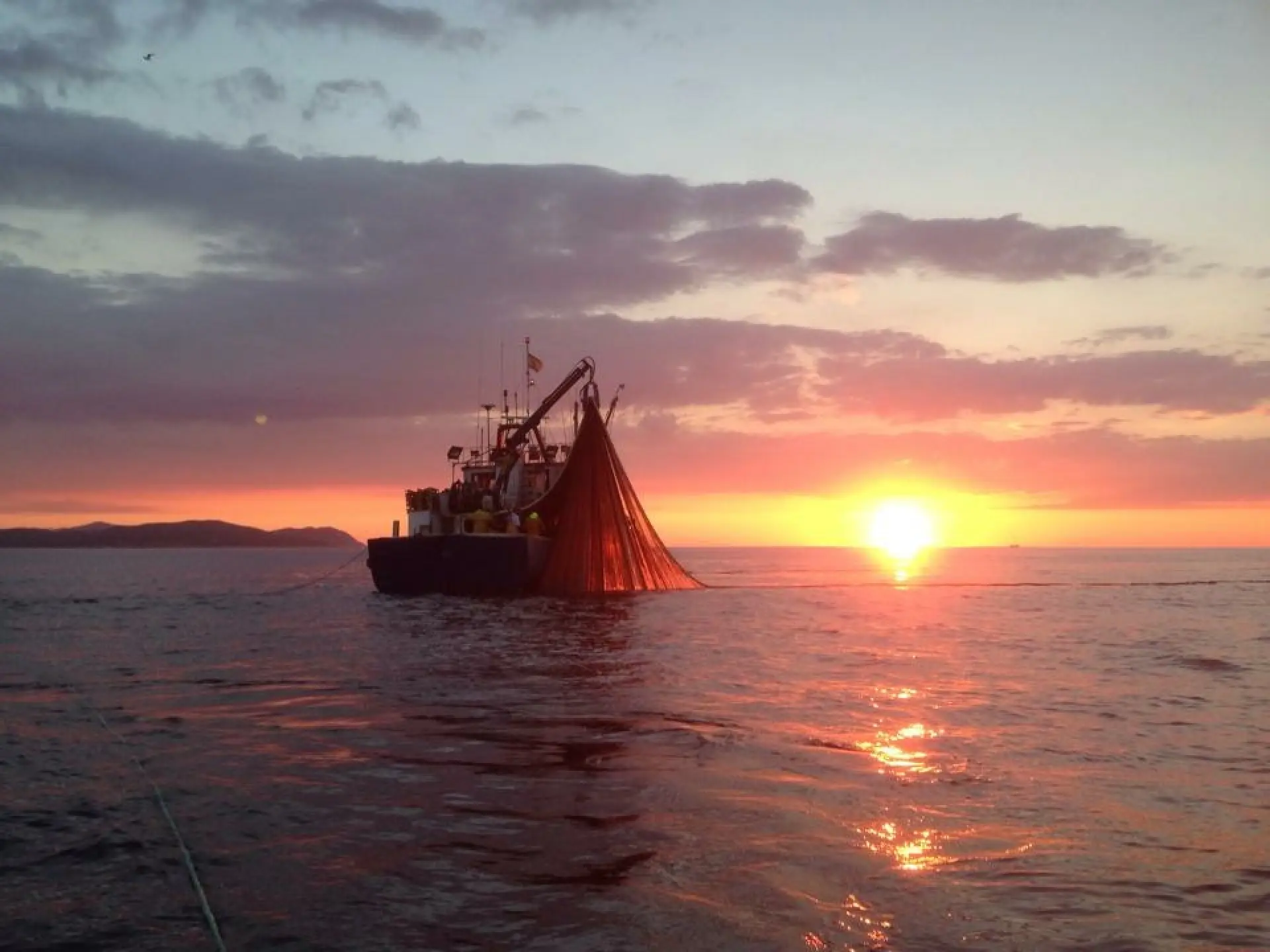 Pesca de Cerco — 1/1