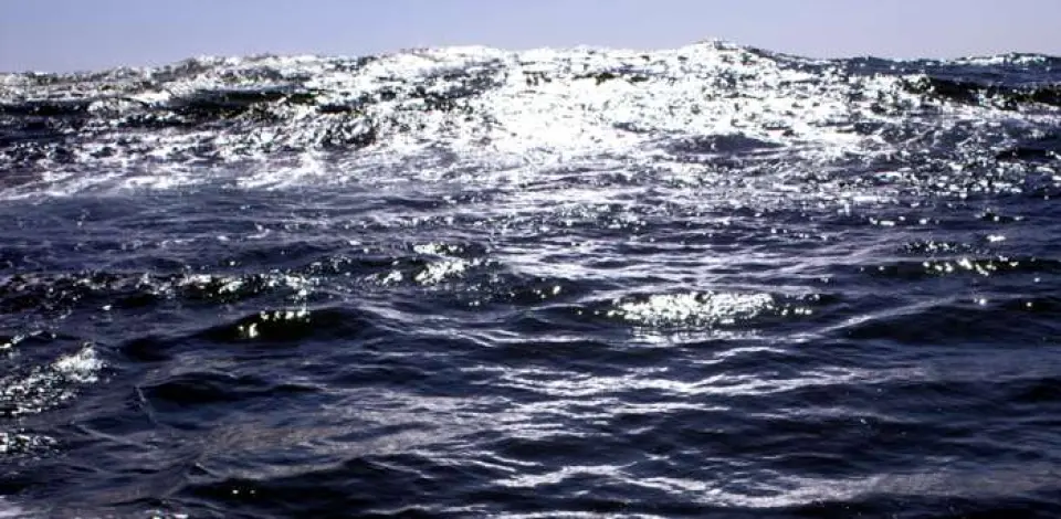 ¿Dónde nacen las olas?