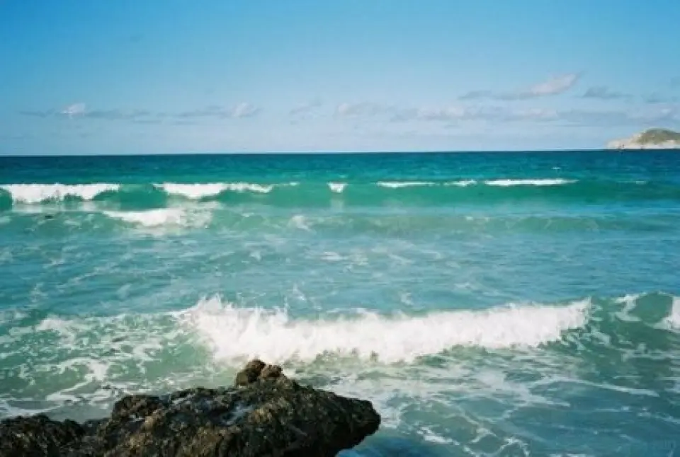 ¿A qué velocidad se mueven las Olas?