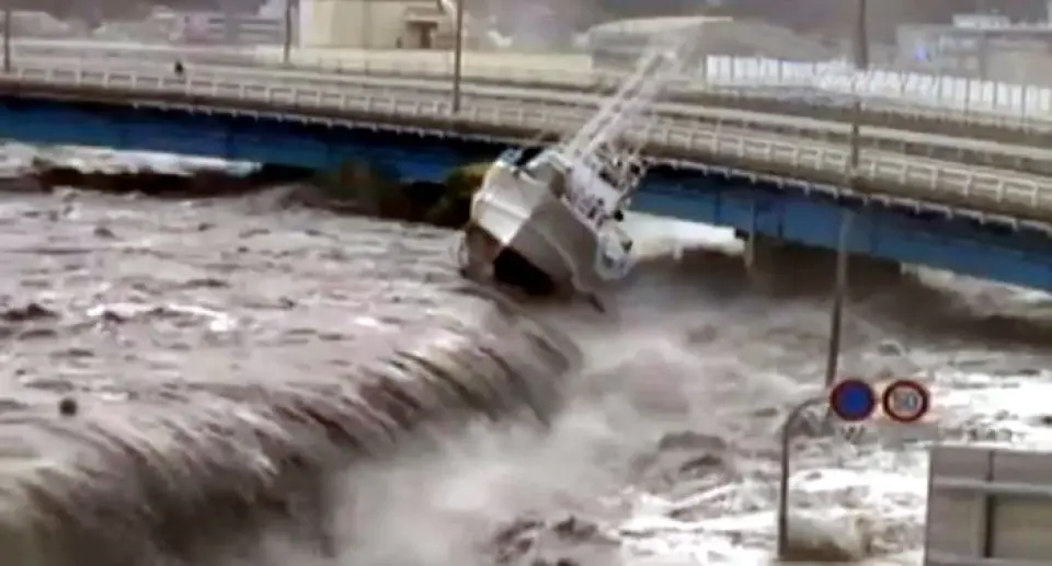 Los Tsunamis