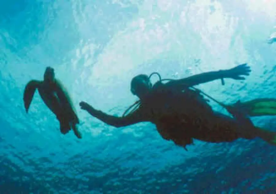 Submarinismo seguro