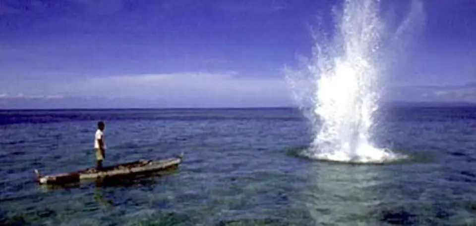 Las principales Zonas Pesqueras en el mundo