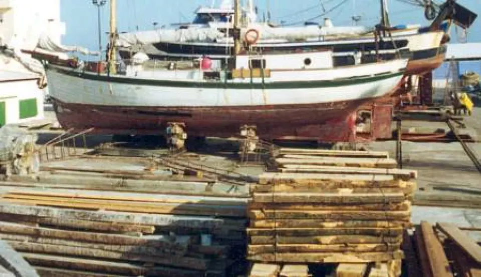 Evitar la podredumbre en la madera