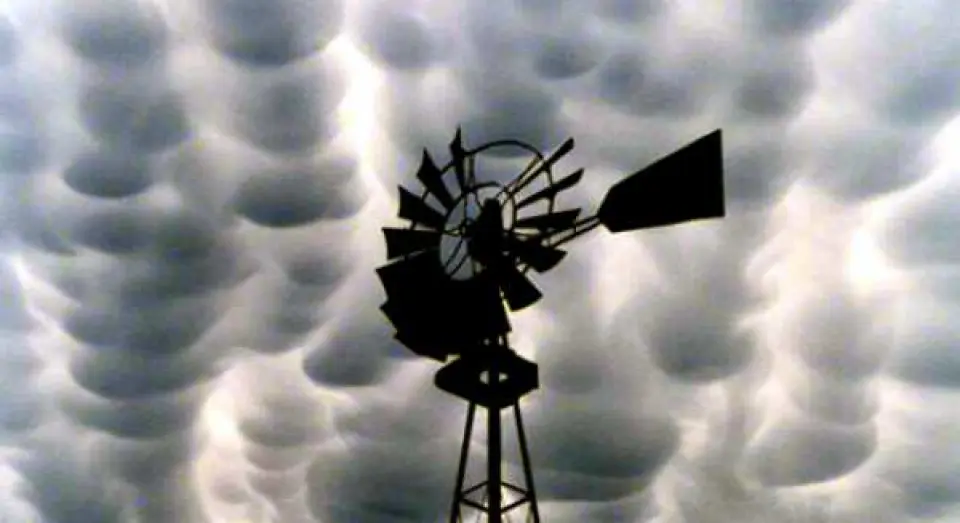 Nubes mammatus