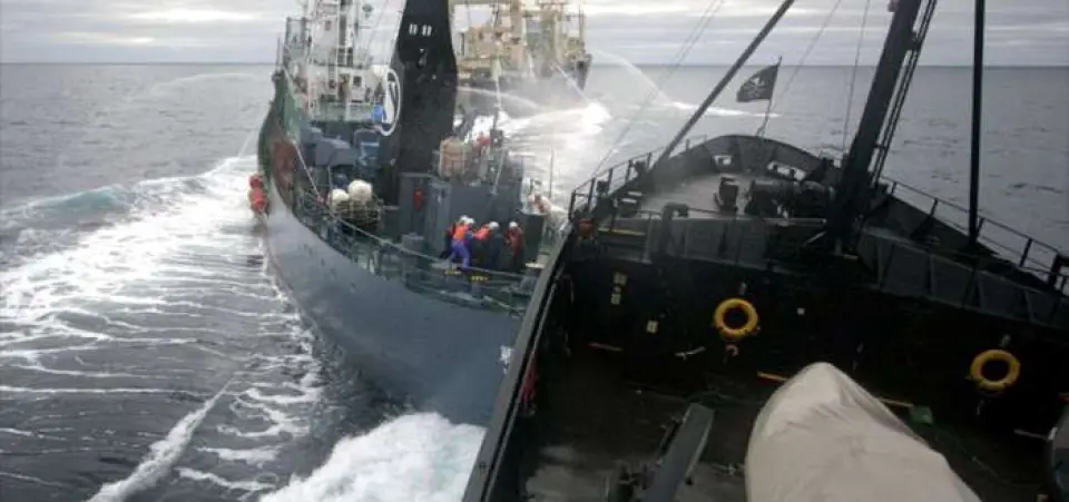 Sea Shepherd ¡Salvad los océanos!