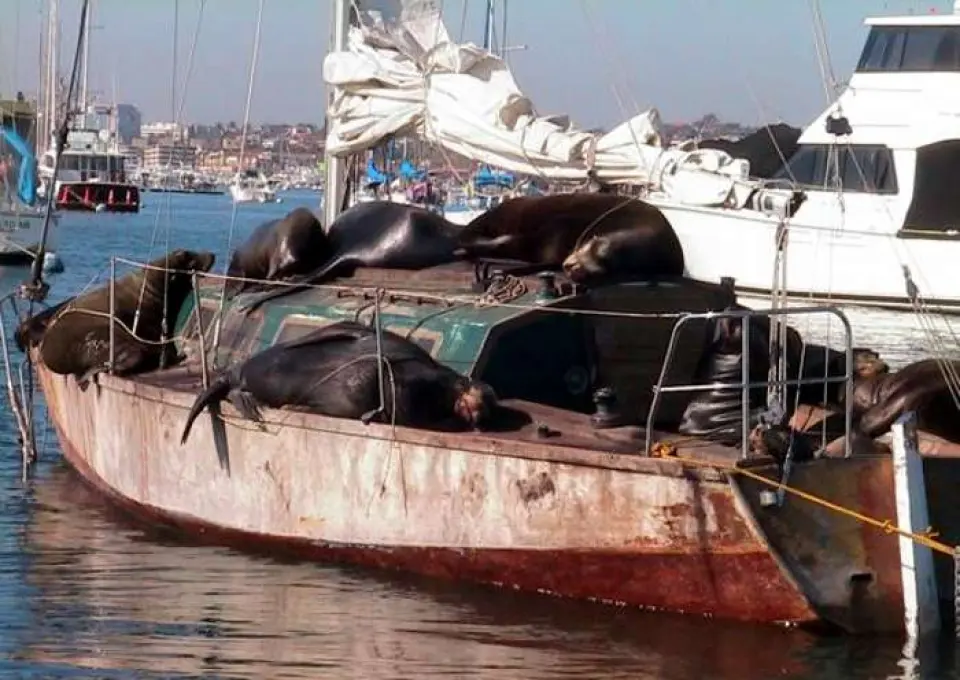 El problema de los barcos abandonados