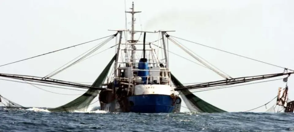 Pesca de Arrastre