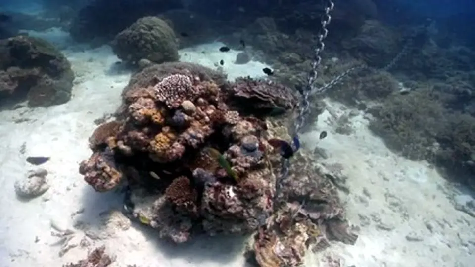 Fondear entre rocas y corales